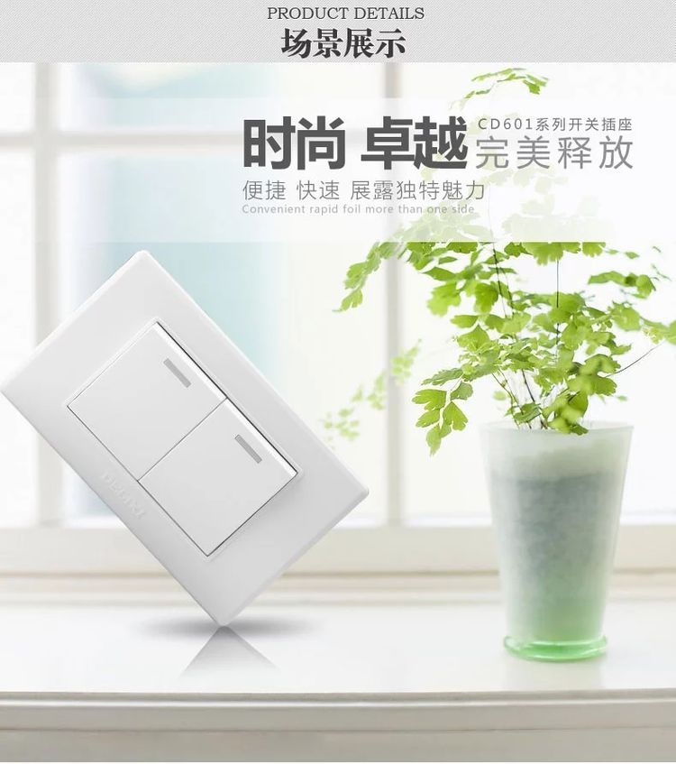 德力西118型CD608雅白色二开单控开关 二开单联 双开单联 双开单控墙壁开关