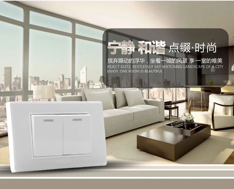 德力西118型CD608雅白色二开单控开关 二开单联 双开单联 双开单控墙壁开关