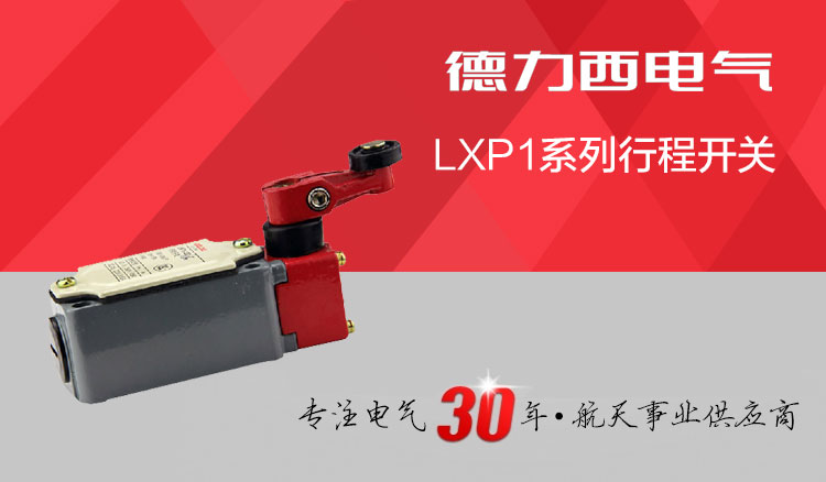 德力西行程开关 LXP1-120/1G 单摇杆转动单轮自动复位 限位开关