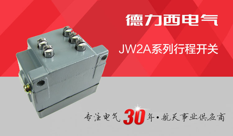 德力西行程开关 JW2A-11Z/5 五滚轮自动复位限位开关 上下复位