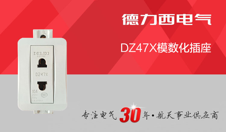 德力西模数化插座 DZ47X 二插10A插座(新款替代AC30插座) 正品插座质量更优更耐插