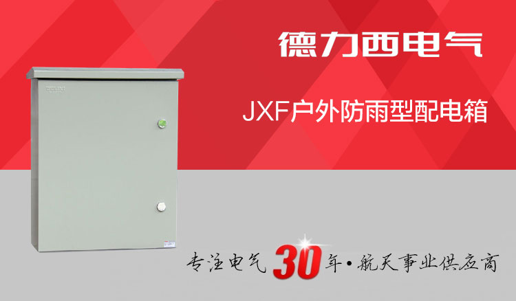 德力西基业箱 JXF-80*60*20(高800宽600深200) 户外防雨型配电箱 德力西强电动力箱 德力西电源控制箱