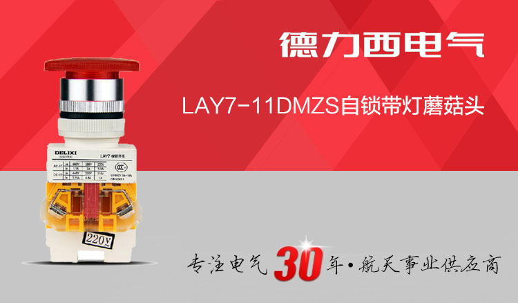 德力西按钮开关 LAY7-11DMZS 蘑菇头带灯带自锁控制按钮 PBC Y090 LAY37按钮开关 订单产品