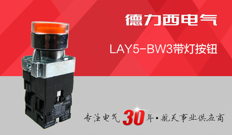 德力西按钮开关 LAY5-BW3金属型带灯平按钮 带灯按钮金属 电压可选