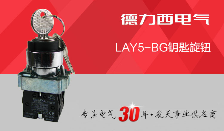 德力西金属型带钥匙旋钮开关 LAY5-BG25 两挡钥匙旋钮 触点一常开一常闭 开孔尺寸22mm