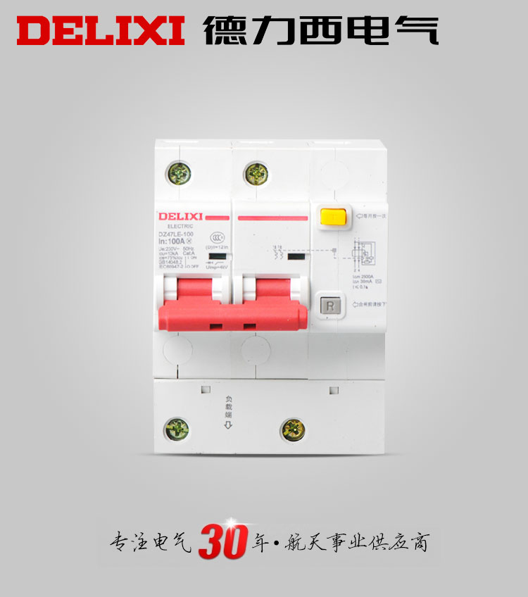 德力西漏电断路器DZ47LE-100A 2P D型单相两极大功率家用漏电保护器 具有短路保护 过载保护 漏电保护功能